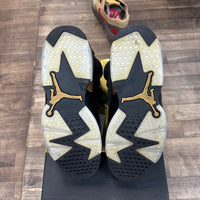 DMP Jordan 6 Retro (2020) (USED)