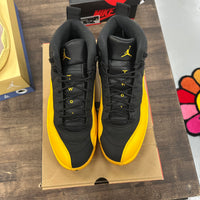 University Gold Jordan 12 Retro (Used)