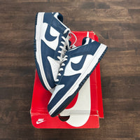 Valerian Dunk Low (USED)