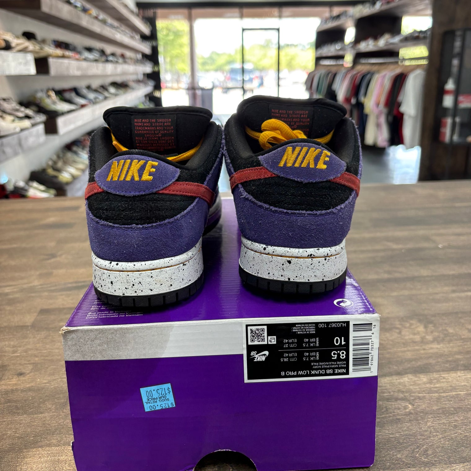 ACG Terra Nike SB Dunk Low (USED,No Box)