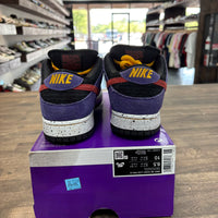 ACG Terra Nike SB Dunk Low (USED,No Box)