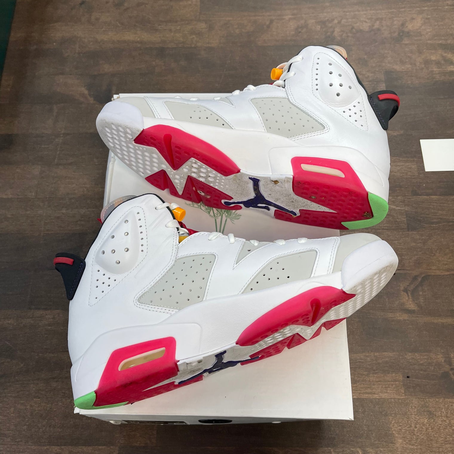 Hare Jordan 6 (USED)