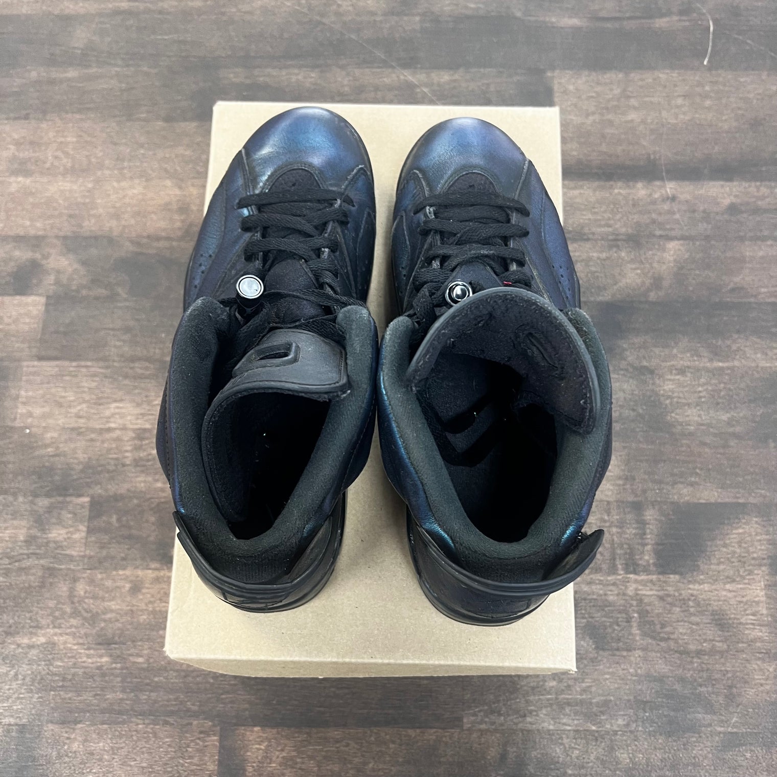 Chameleon Jordan 6 Retro (USED)