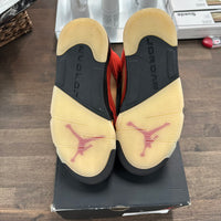 Dunk on Mars Jordan 5 (W) (USED)