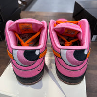Blossom The Powerpuff Girls Nike SB Dunk Low (USED)