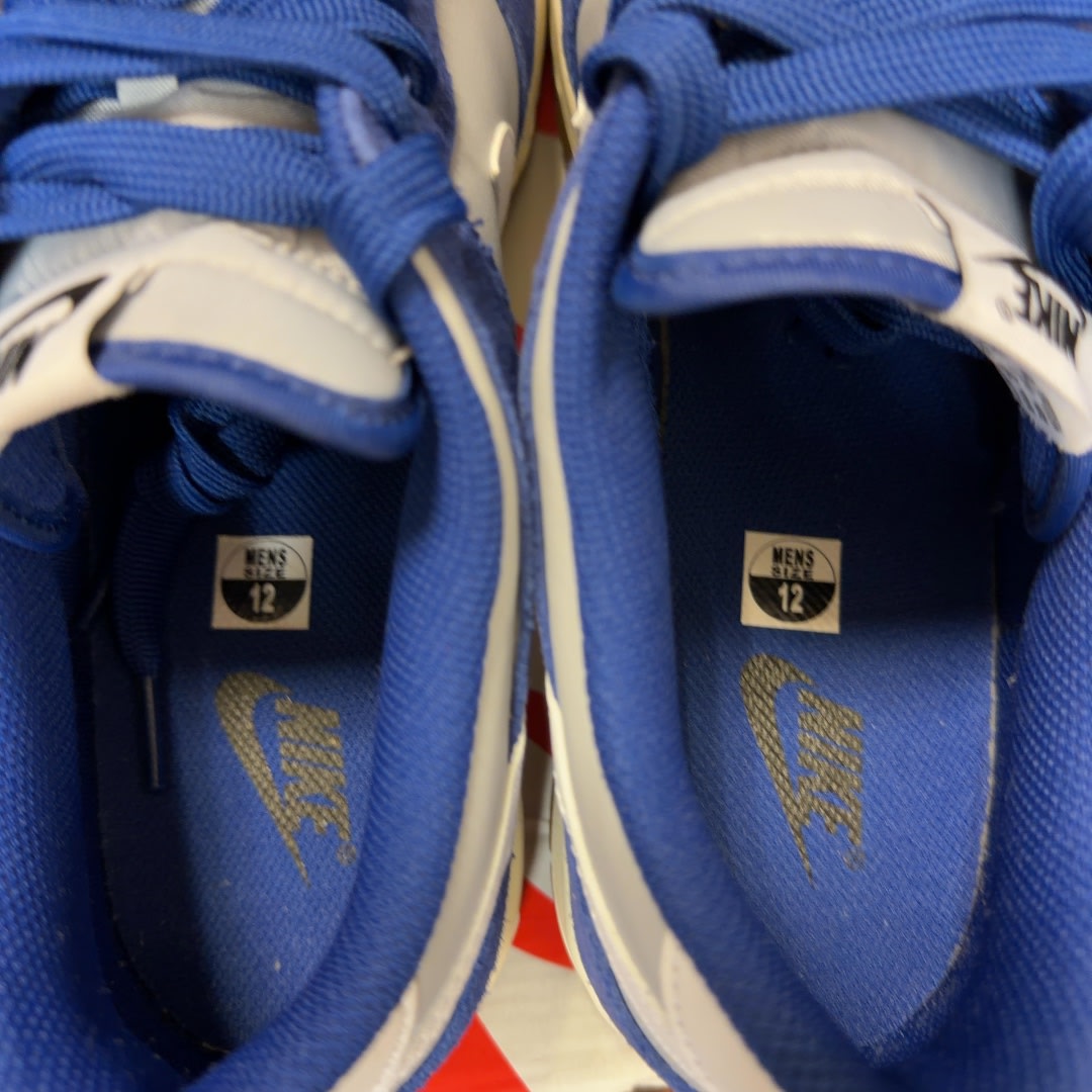 Nike Dunk Low Retro SE Deep Royal Blue Gum - Image 5