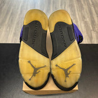 Alternate Grape Jordan 5 (USED, No Box)