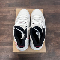 Platinum Tint Jordan 11 (USED, No Box)