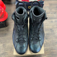 All-Star Chameleon Jordan 6 Retro (USED, No Box)