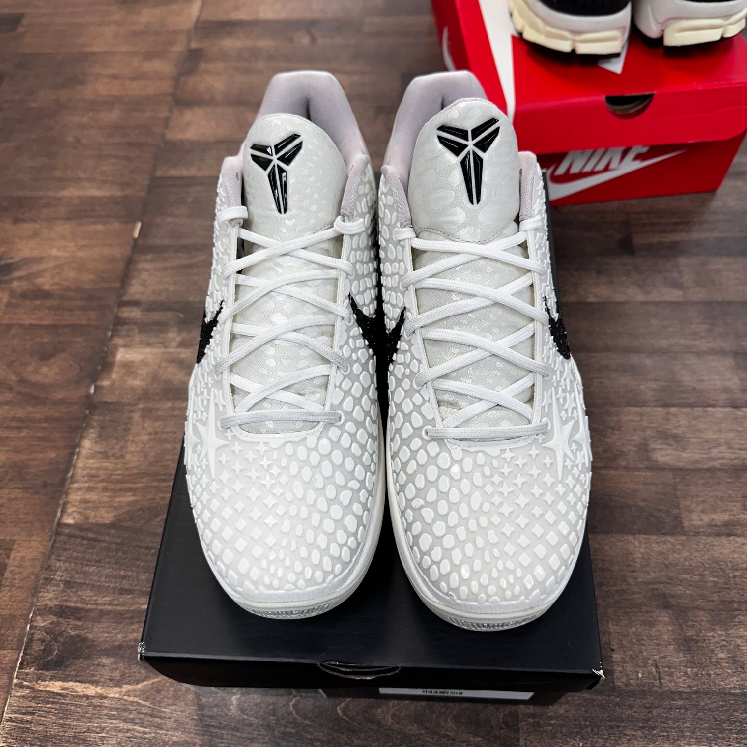 All Star Kobe 6 Protro (USED)