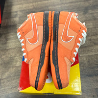 Orange Lobster SB Dunk Low (USED)
