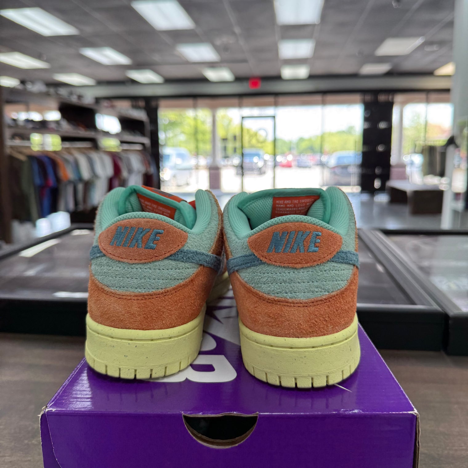 Orange Emerald SB Dunk Low (USED)