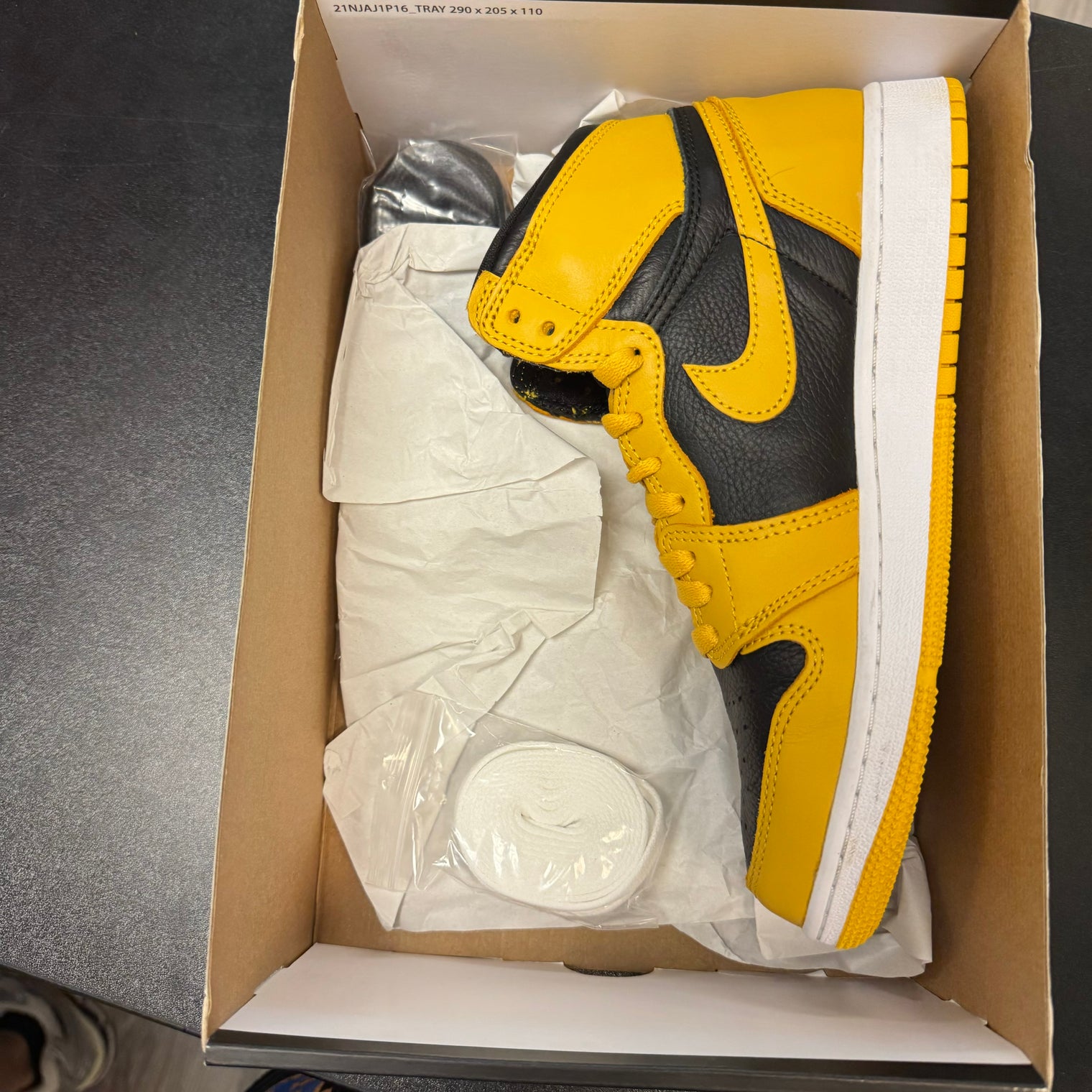 Pollen Jordan 1 High (USED)