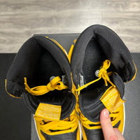 Pollen Jordan 1 High (USED)