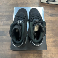 Chrome Jordan 6 (USED)