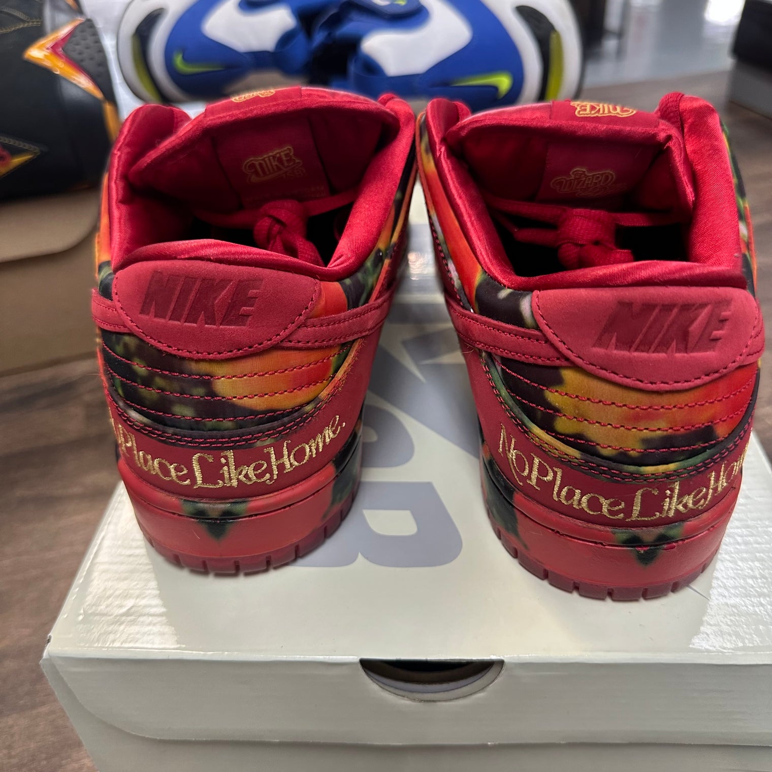 Wizard of OZ SB Dunk Low (USED)