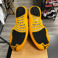 University Gold Jordan 12 (USED, No Box)