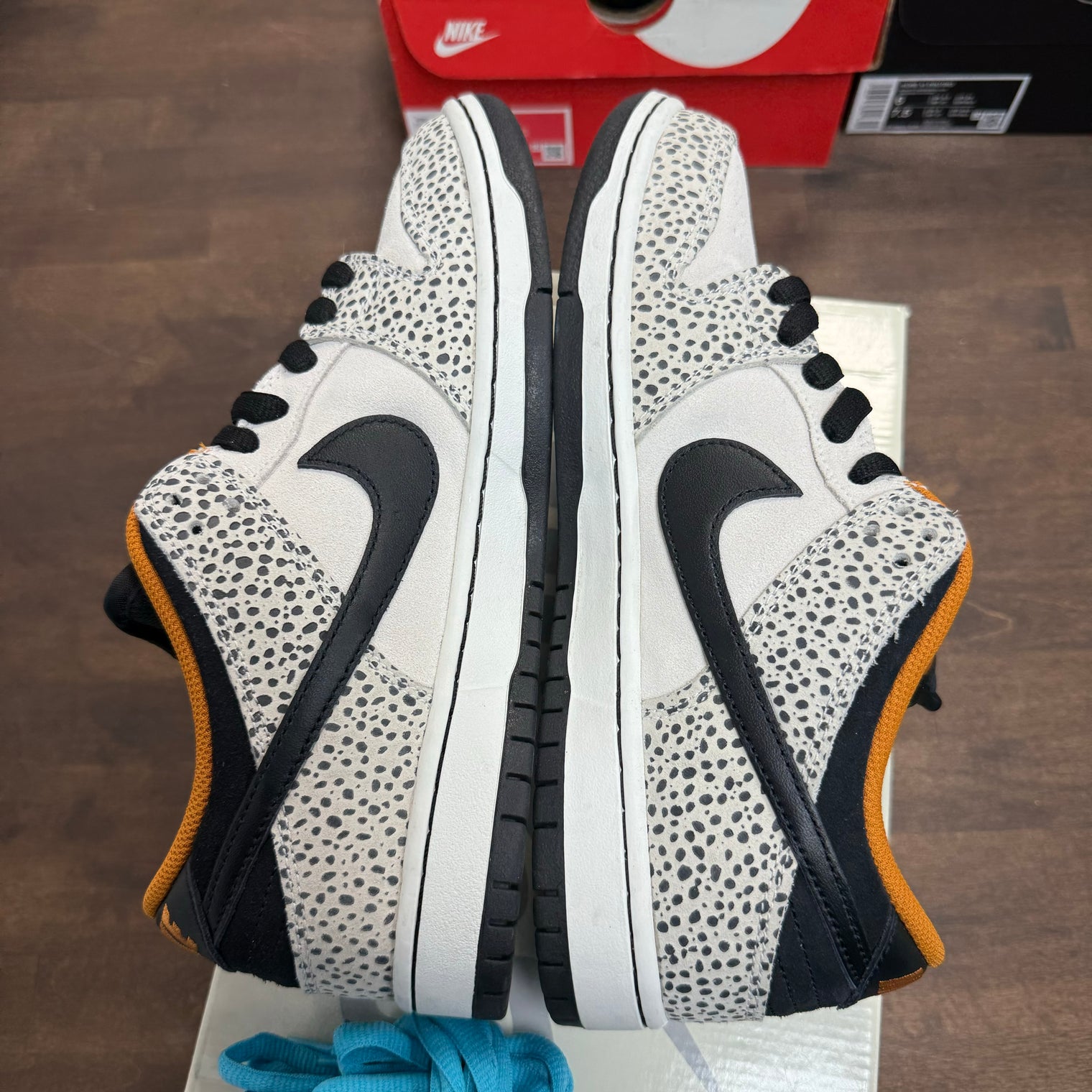Olympic Safari Electric Pack Nike SB Dunk Low (USED)