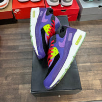 Violet Blend Nike Air Max 90 (USED)