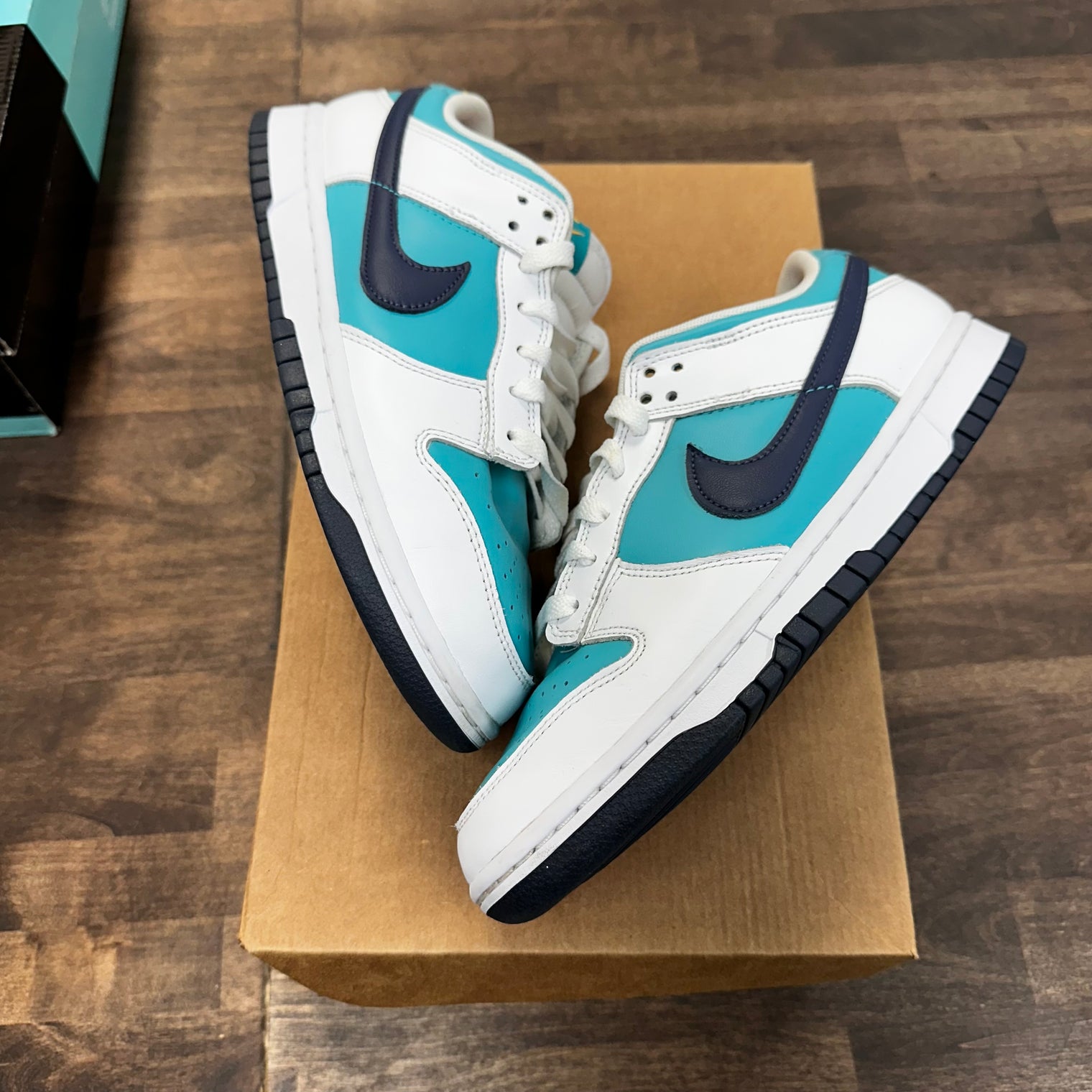 Dusty Cactus Dunk Low (USED,No Box)