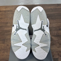 Cool Grey Jordan 6 (Lightly Worn)