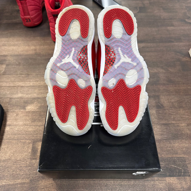 Cherry Jordan 11 Retro (USED)