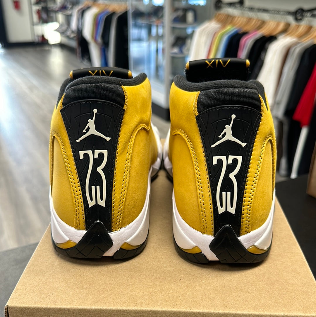 Ginger Jordan 14 (USED, No Box)