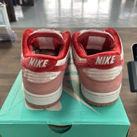 StrangeLove Skateboards SB Dunk Low (USED)