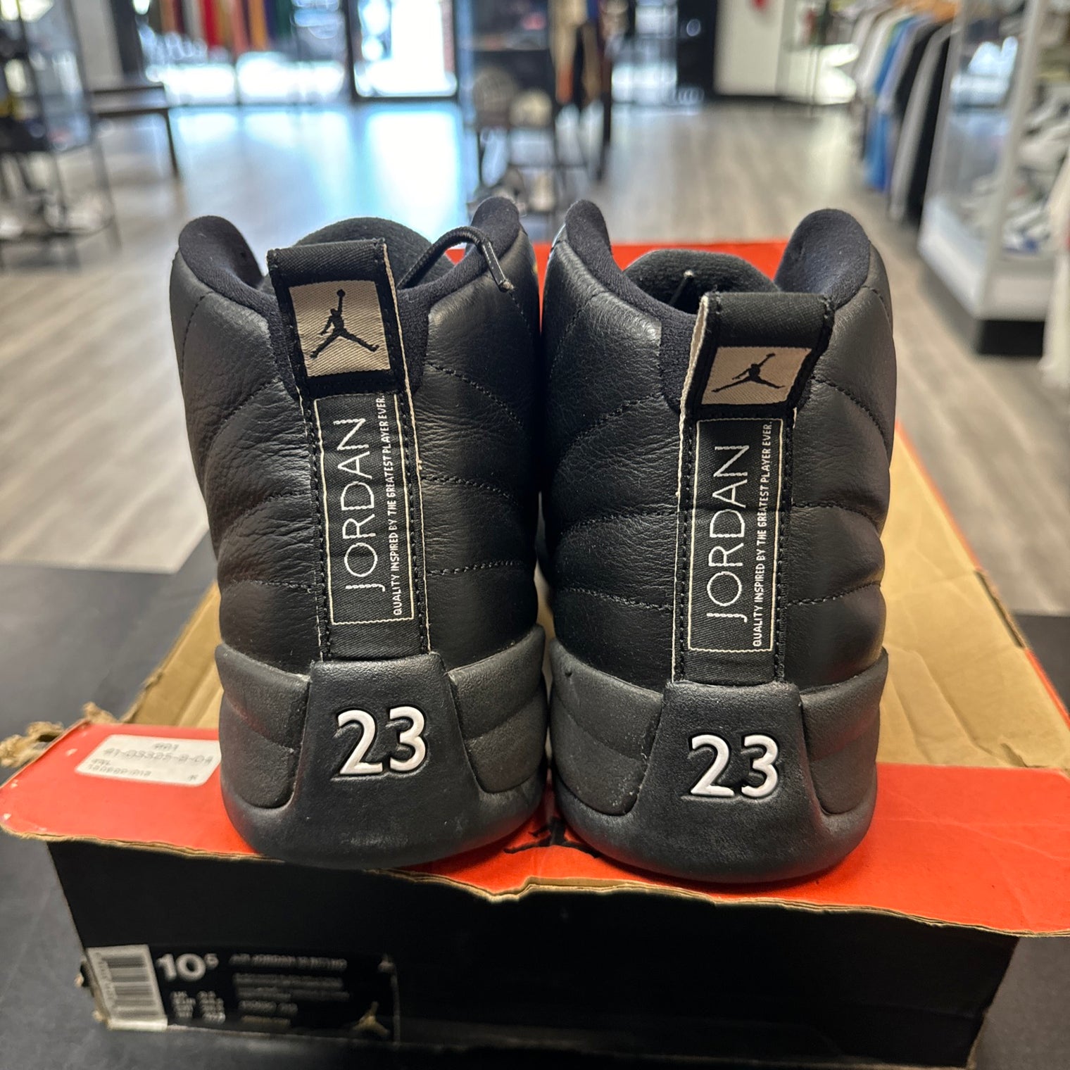 The Master Jordan 12 Retro (USED)