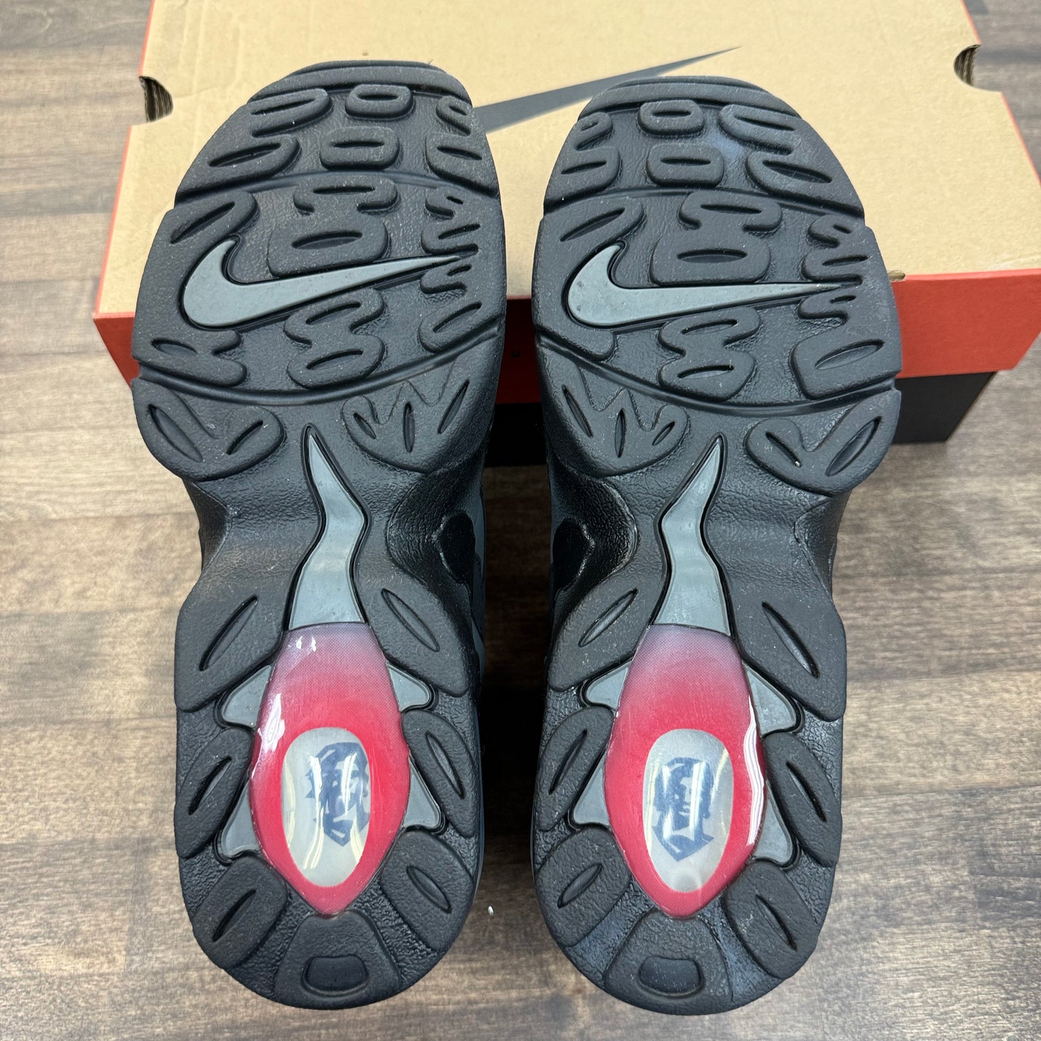 Nike Air DT Max '96 Falcons (USED)