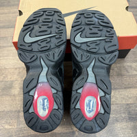 Nike Air DT Max '96 Falcons (USED)