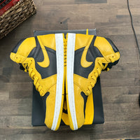 Pollen Jordan 1 High (Used)