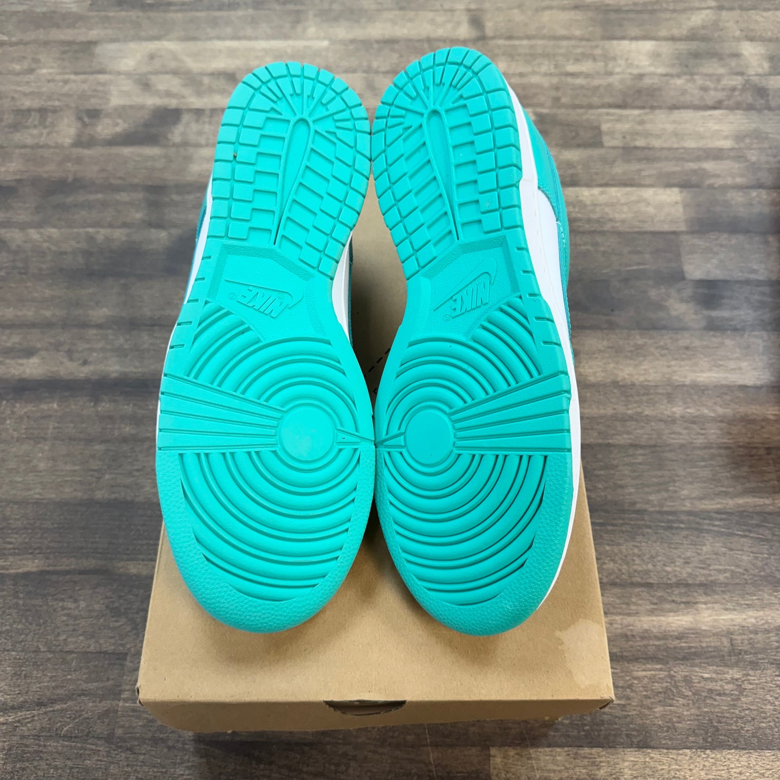 Clear Jade Nike Dunk Low (USED, Replacement Box)