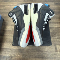 Rare Air Jordan 3 Retro (Lightly Worn)