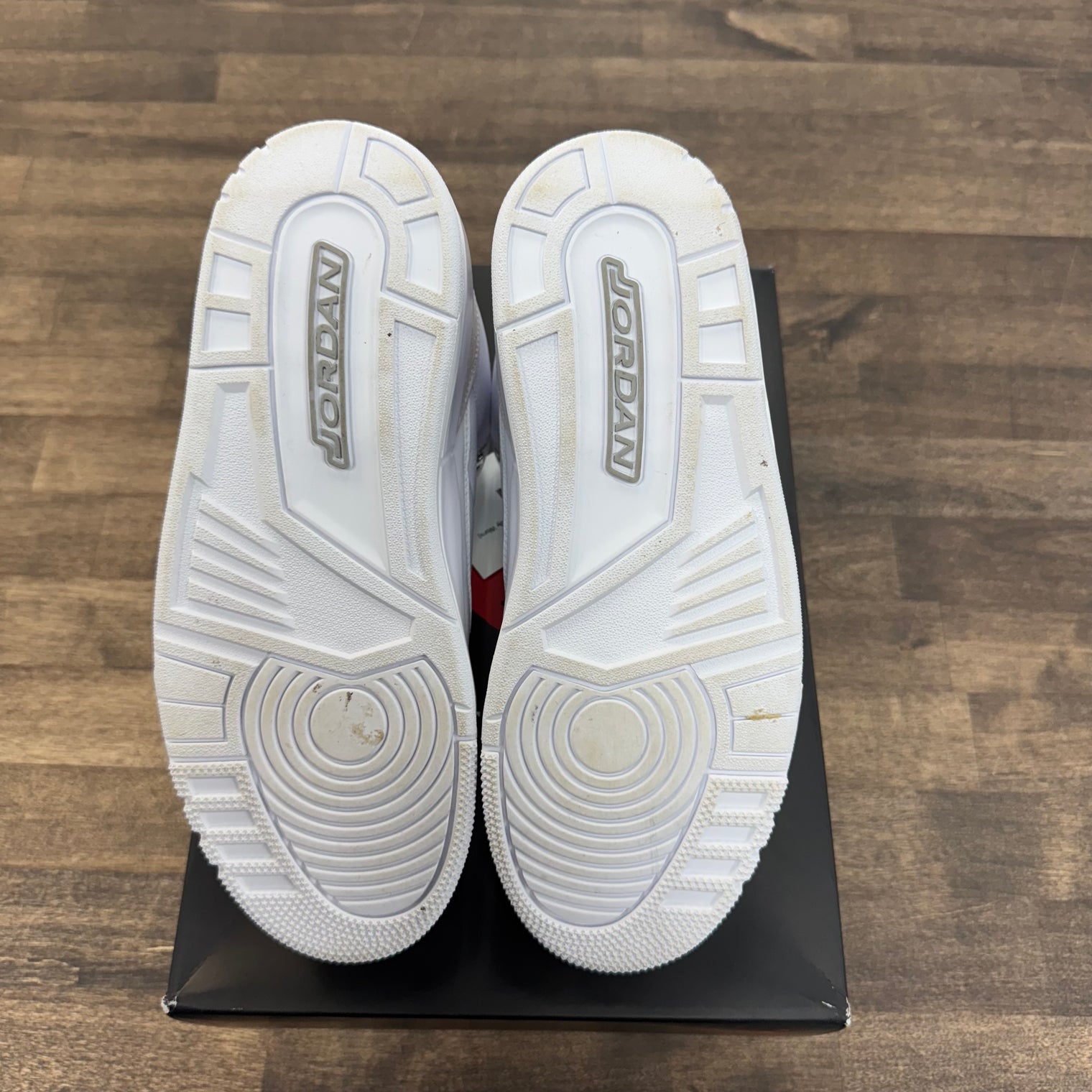 Pure Money Jordan 3 Retro (Lightly Worn)
