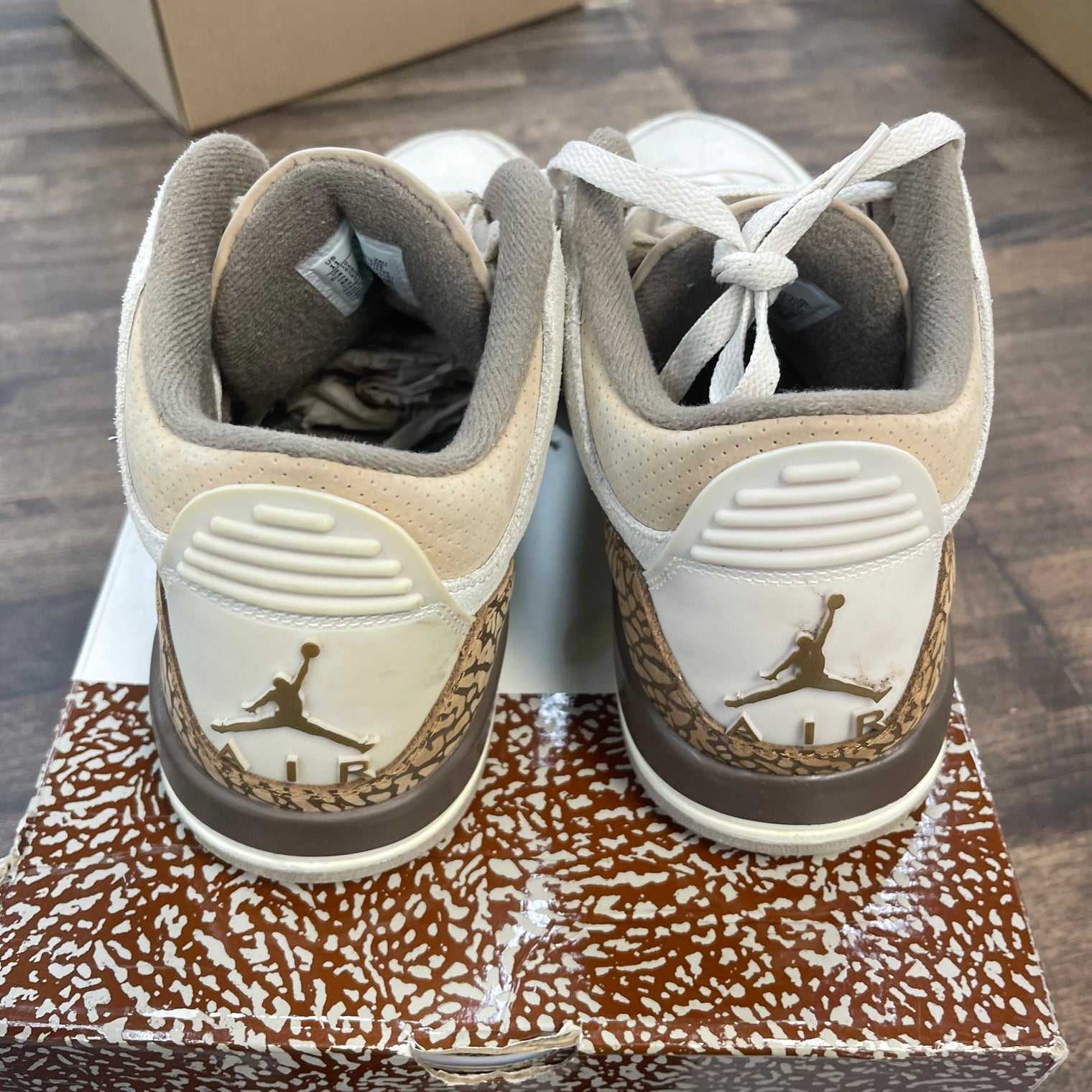 Palomino Jordan 3 (USED)
