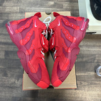 Love Letter to Connie Nike Air DT Max 96 (USED)