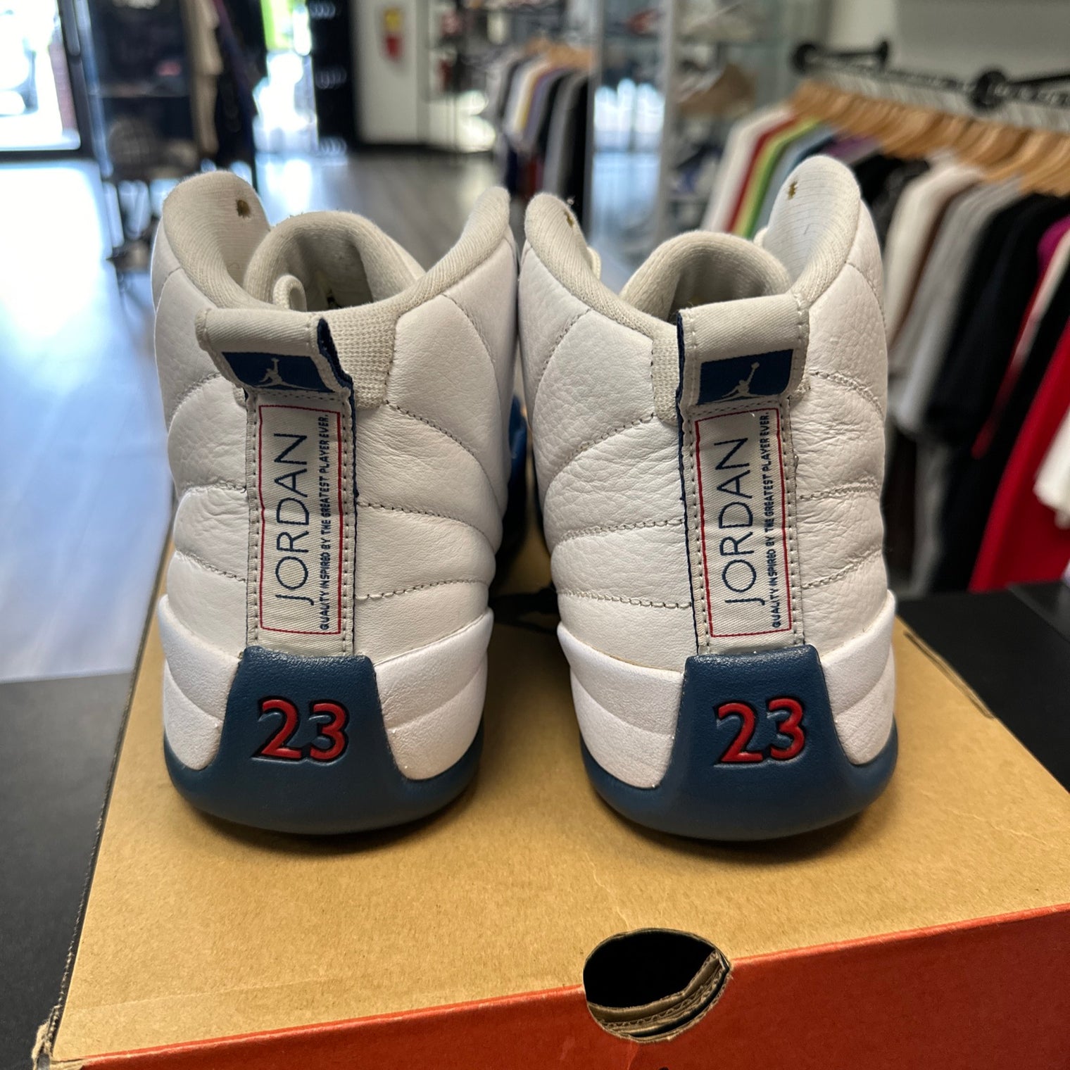 French Blue Jordan 12 (USED)