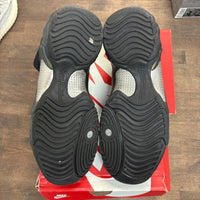 Metallic Gold Air Flightposite (USED)