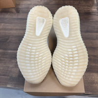 Slate Panda Yeezy 350 CMPCT (USED, No Box)