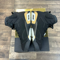 DMP Jordan 6 Retro (2020) (USED)