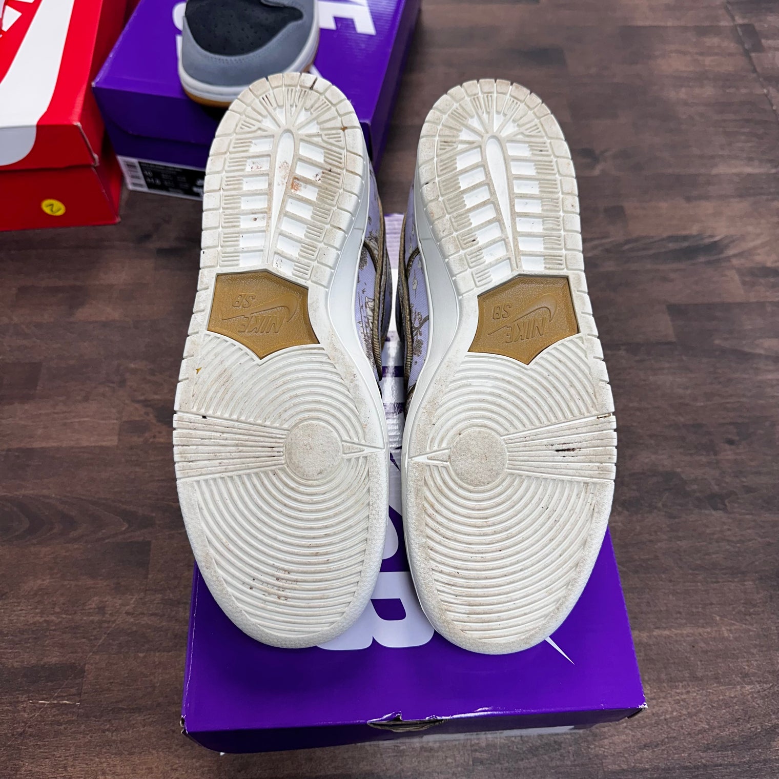 City of Style Nike SB Dunk Low (USED)
