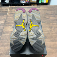 Bordeaux Jordan 6 (USED)