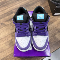 Hayley Wilson Nike SB Dunk Low (USED)