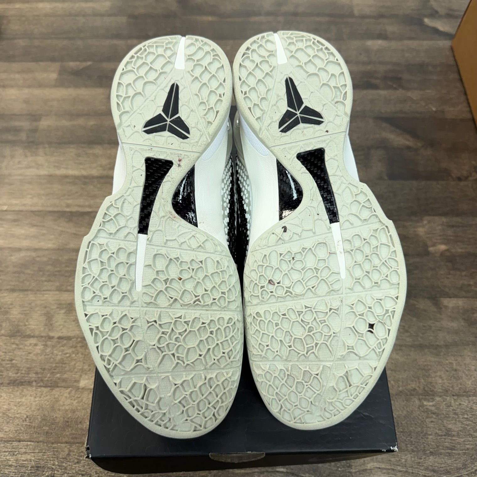 Sail All-Star Nike Kobe 6 Protro (USED)