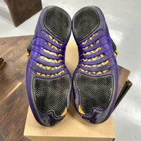 Field Purple Jordan 12 (USED, No Box)