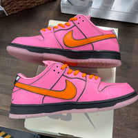 Blossom Powerpuff Girls Nike SB Dunk Low (USED)