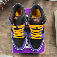 ACG Terra SB Dunk Low (USED)