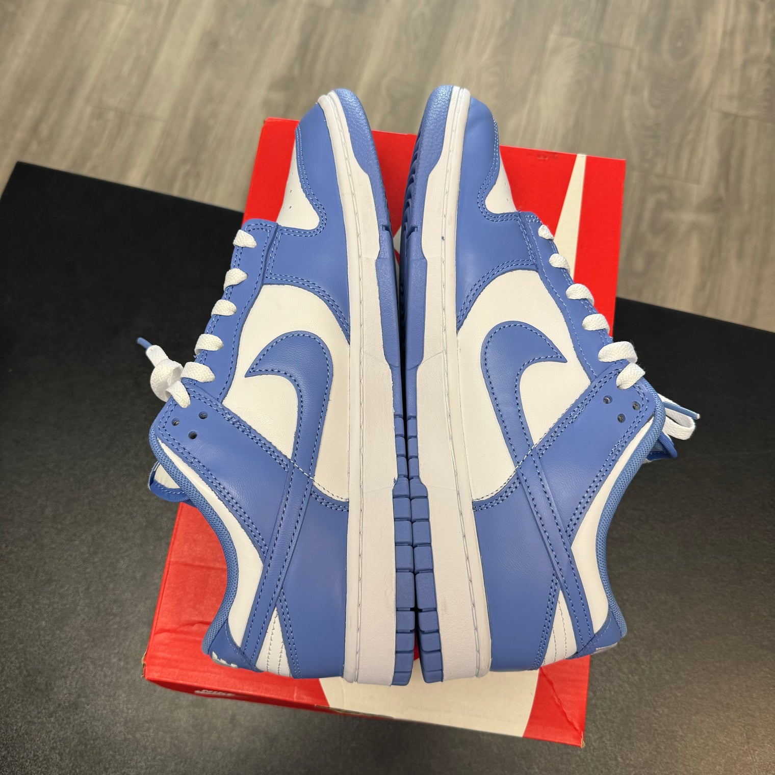 Polar Blue Dunk Low (USED)