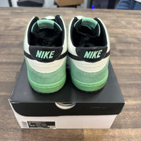 Sea Crystal SB Dunk Low (2016) (USED,No Box,No Insole)